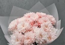 Цветочная летопись Уфы: от традиций к современности