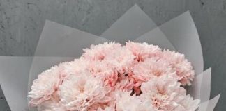 Цветочная летопись Уфы: от традиций к современности