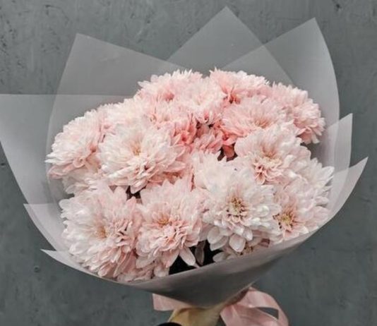 Цветочная летопись Уфы: от традиций к современности