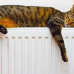 Выбираем тепло: гид по радиаторам