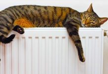 Выбираем тепло: гид по радиаторам