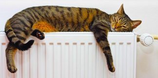 Выбираем тепло: гид по радиаторам