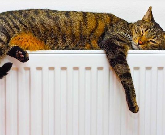 Выбираем тепло: гид по радиаторам