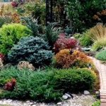 Ландшафтный дизайн: красота круглый год Ландшафтный дизайн