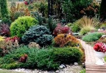 Ландшафтный дизайн: красота круглый год Ландшафтный дизайн