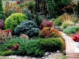 Ландшафтный дизайн: красота круглый год Ландшафтный дизайн