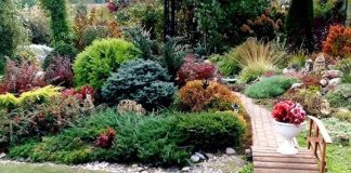 Ландшафтный дизайн: красота круглый год Ландшафтный дизайн