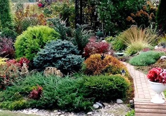 Ландшафтный дизайн: красота круглый год Ландшафтный дизайн